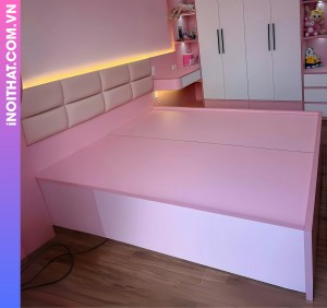 Giường ngủ tiện ích cao cấp khu vực Xã Trung Giã