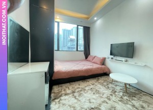 Phòng Trọ Chung Cư Mini tiện nghi hiện đại tại Xã Ứng Hòa